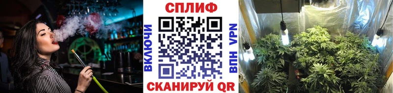 Шишки марихуана THC 21%  купить наркоту  Новопавловск 